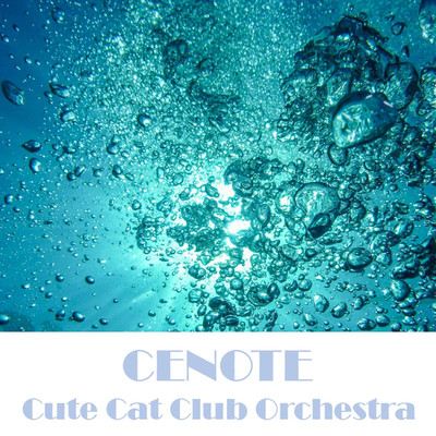 The Parting/Cute Cat Club Orchestra