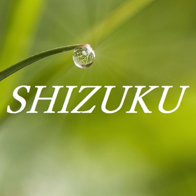 アルバム/SHIZUKU/TandP
