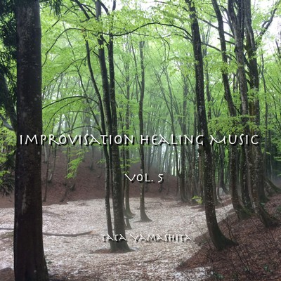Improvisation Healing Music Vol.5/Tata Yamashita
