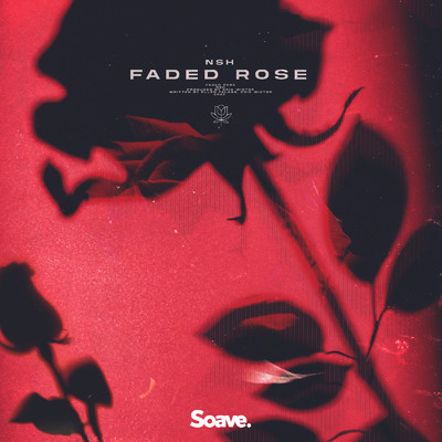 シングル/Faded Rose/NSH