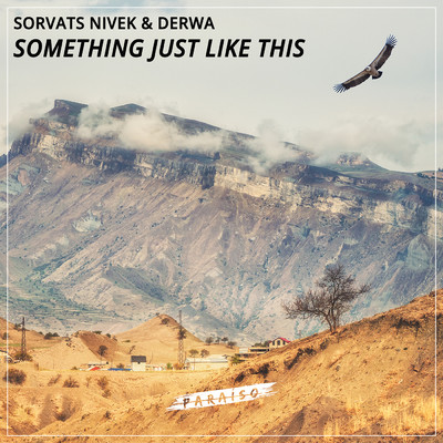 シングル/Something Just Like This/Sorvats Nivek & DERWA