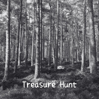 Treasure Hunt/矢代優