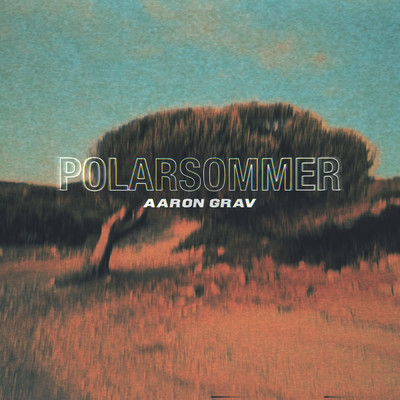 シングル/Polarsommer (Explicit)/Aaron Grav