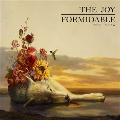アルバム/Wolf's Law/The Joy Formidable