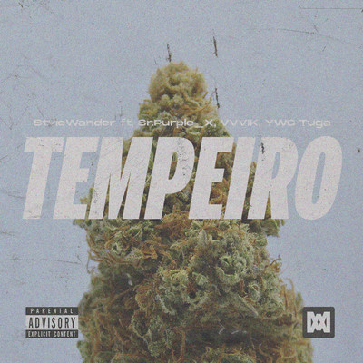 Tempeiro (feat. Sr.Purple_X, VVVIK, YWG Tuga)/Stviewander