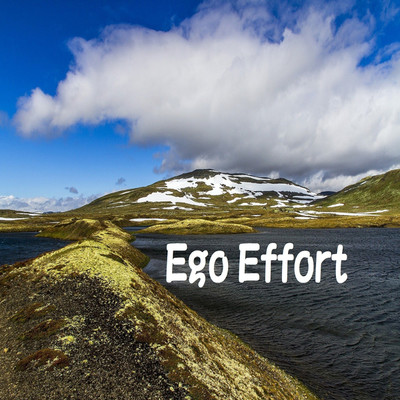 アルバム/Ego Effort/Vermis ego