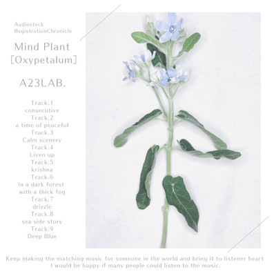 Mind Plant[Oxypetalum]/A23LAB.
