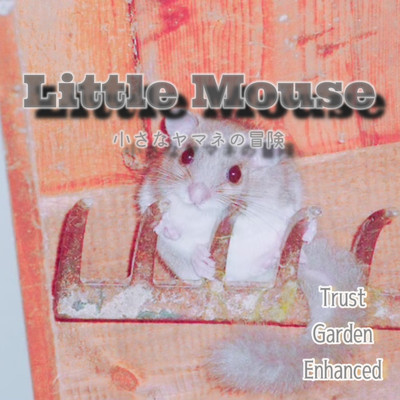 シングル/Little Mouse/Trust Garden Enhanced