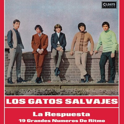 LITTLE RED ROOSTER/LOS GATOS SALVAJES