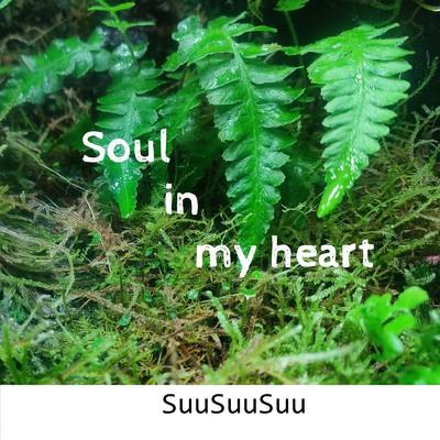 アルバム/Soul in my heart/SuuSuuSuu