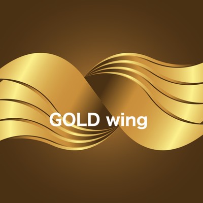 アルバム/GOLD wing/TAKERU