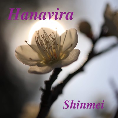 シングル/Hanavira/Shinmei
