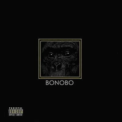 Bonobo/SteadyRock