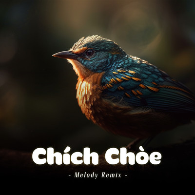Chich Choe (Melody Remix)/LalaTv