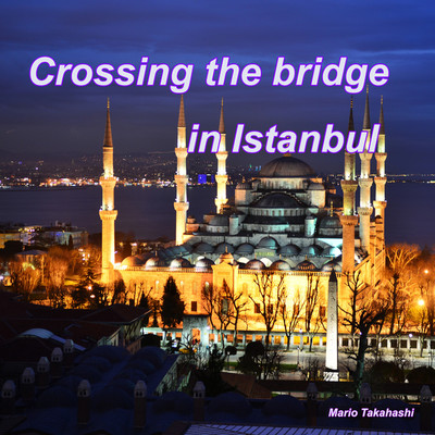 Crossing the bridge in Istanbul/Mario Takahashi