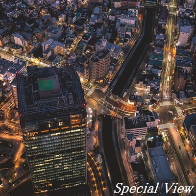 シングル/Special View/TandL