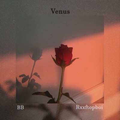 アルバム/Venus/BB