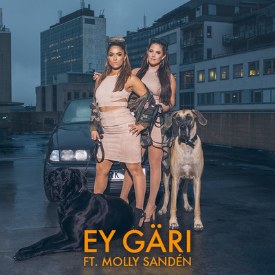 シングル/Ey Gari (featuring Molly Sanden)/Linda Pira