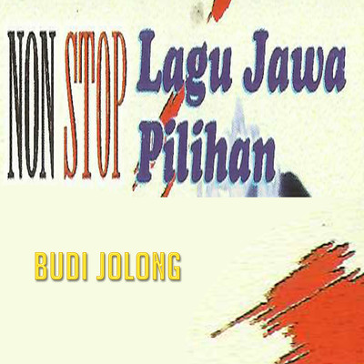 Budi Jolong
