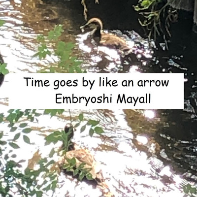 シングル/Time goes by like an arrow/Embryoshi Mayall
