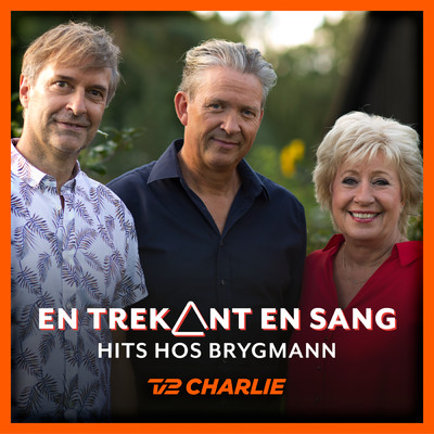 En Trekant En Sang 6 - Hits Hos Brygmann/Various Artists