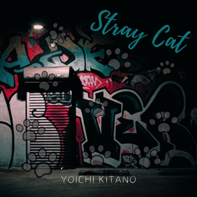 Stray Cat/YOICHI KITANO