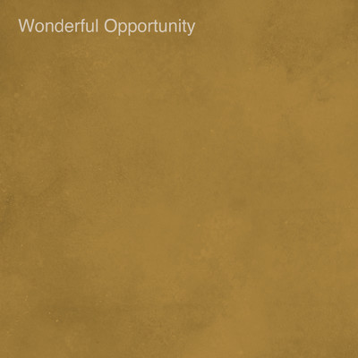 Wonderful Opportunity/Grey October Sound & 良品楽団