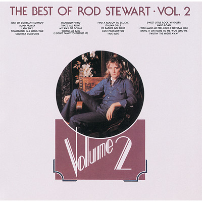 アルバム/The Best Of Rod Stewart (Vol.2)/ロッド・スチュワート
