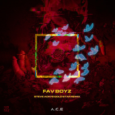 Fav Boyz (Steve Aoki's Gold Star Remix) [Instrumental]/A.C.E