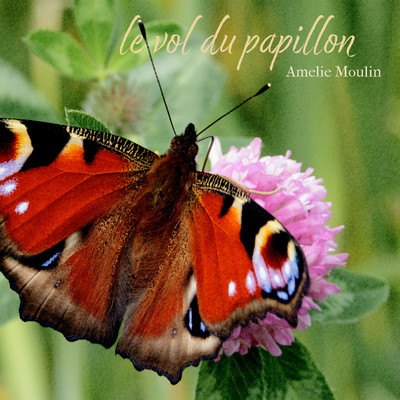 シングル/le vol du papillon/Amelie Moulin