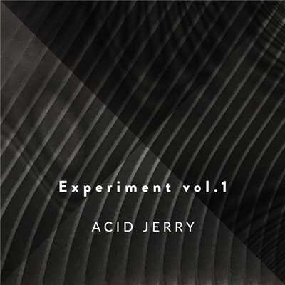 Experience Vol.1/ACID JERRY