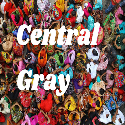Central Gray/Pain associate sound
