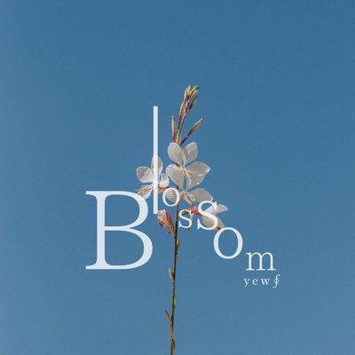 Blossom/yew