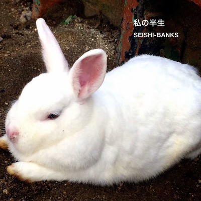 私の半生/SEISHI-BANKS
