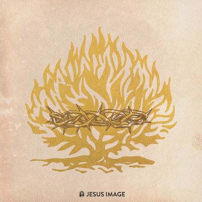 All Honor (Consuming Fire) (Live)/Jesus Image