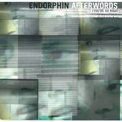 アルバム/Afterwords (You're So Right)/Endorphin