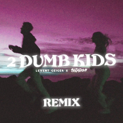 2 Dumb Kids (Paradigm Remix)/Levent Geiger／Paradigm
