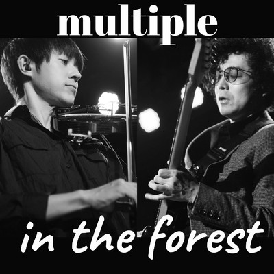 シングル/in the forest/multiple