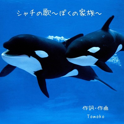 シャチの歌〜ぼくの家族〜/Tomoko