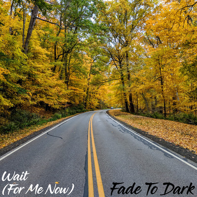 Wait (For Me Now)/Fade To Dark