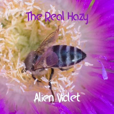 Alien Violet/The Real Hazy