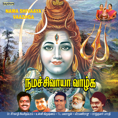 Sivagaami Naadhanukku/DV Ramani