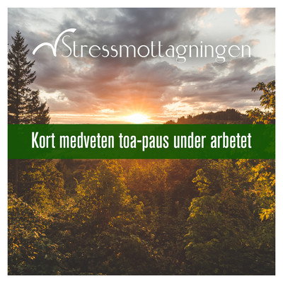 アルバム/Kort medveten toa-paus under arbetet/Stressmottagningen