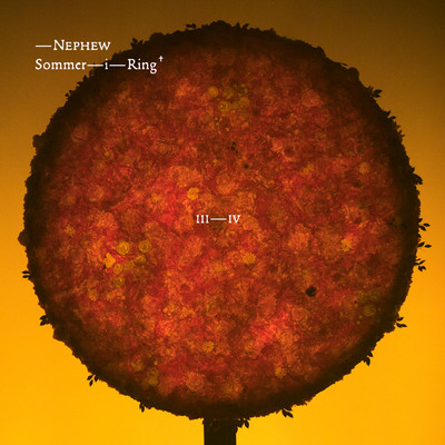 Sommer-i-Ring (EP)/Nephew