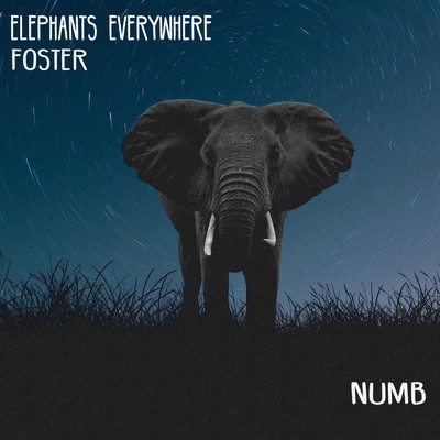 Numb/Elephants Everywhere & FOSTER