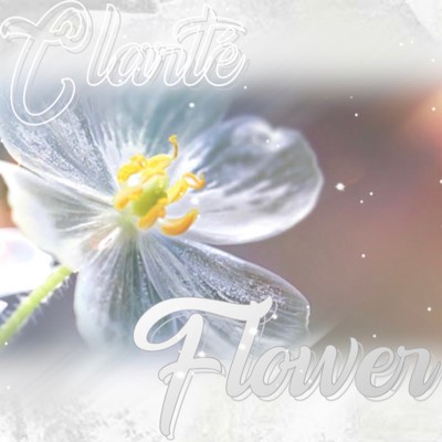 Flower/Clarte