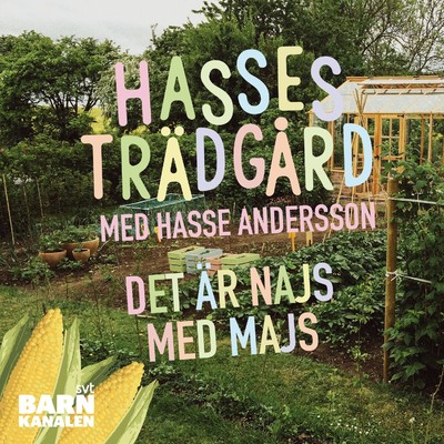 アルバム/Det ar najs med majs/Hasse Andersson