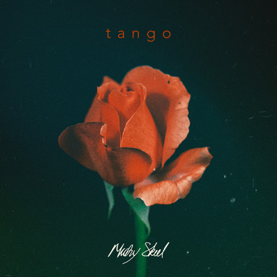 アルバム/Tango/Micky Skeel