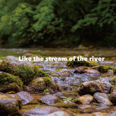 Like the stream of the river/Nature Field Sounds