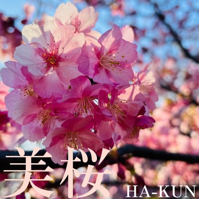 美桜/HA-KUN